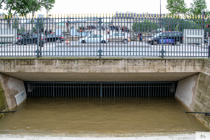 Paris flood 2016, grue 2016 Paris, Julia Willard, Julie Willard, Falling Off Bicycles