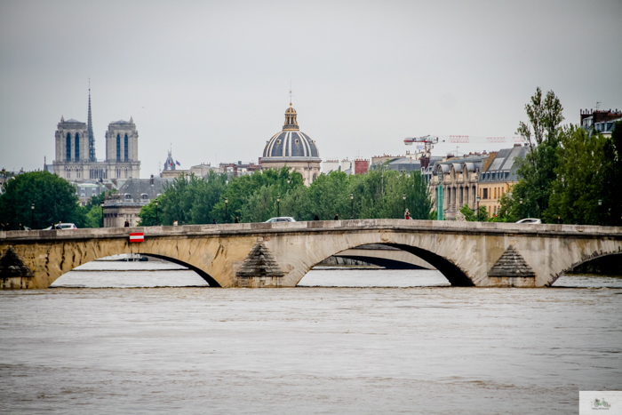 flood, Paris, Seine, Paris flood 2016, grue 2016 Paris, Julia Willard, Julie Willard, Falling Off Bicycles