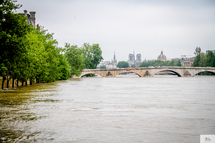 flood, Paris, Seine, Paris flood 2016, grue 2016 Paris, Julia Willard, Julie Willard, Falling Off Bicycles