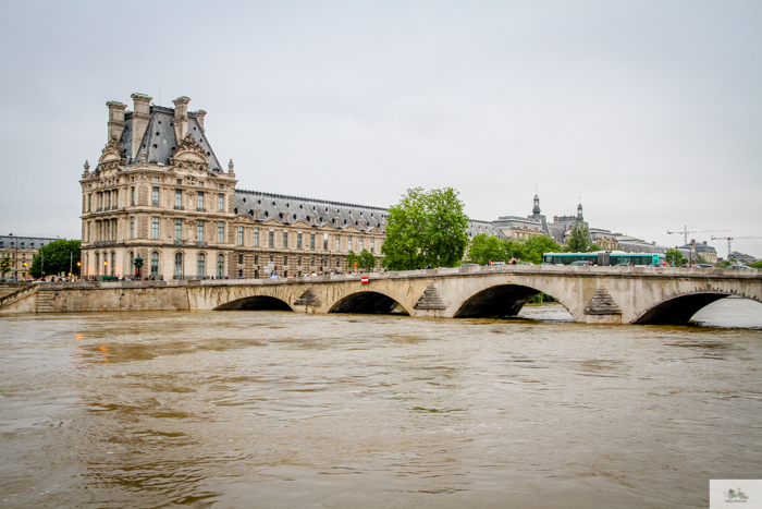 flood, Paris, Seine, Paris flood 2016, grue 2016 Paris, Julia Willard, Julie Willard, Falling Off Bicycles