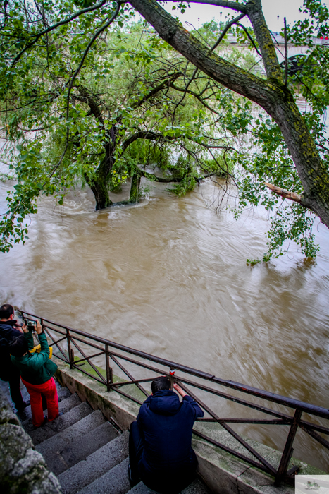 flood, Paris, Seine, Paris flood 2016, grue 2016 Paris, Julia Willard, Julie Willard, Falling Off Bicycles