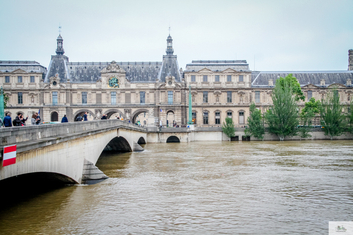 flood, Paris, Seine, Paris flood 2016, grue 2016 Paris, Julia Willard, Julie Willard, Falling Off Bicycles