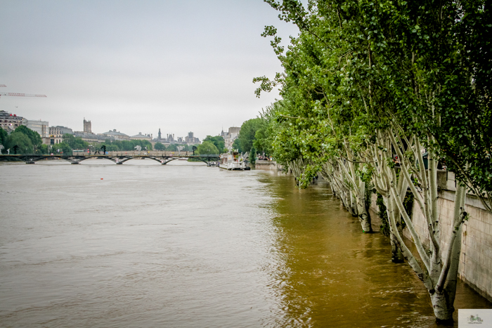 flood, Paris, Seine, Paris flood 2016, grue 2016 Paris, Julia Willard, Julie Willard, Falling Off Bicycles