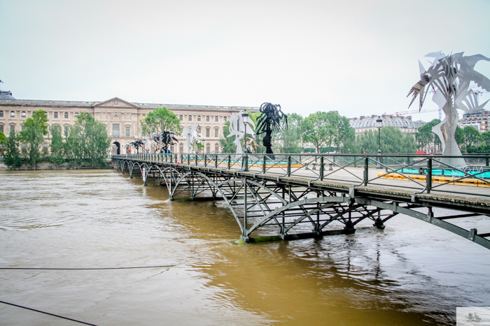 flood, Paris, Seine, Paris flood 2016, grue 2016 Paris, Julia Willard, Julie Willard, Falling Off Bicycles