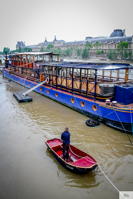 flood, Paris, Seine, Paris flood 2016, grue 2016 Paris, Julia Willard, Julie Willard, Falling Off Bicycles