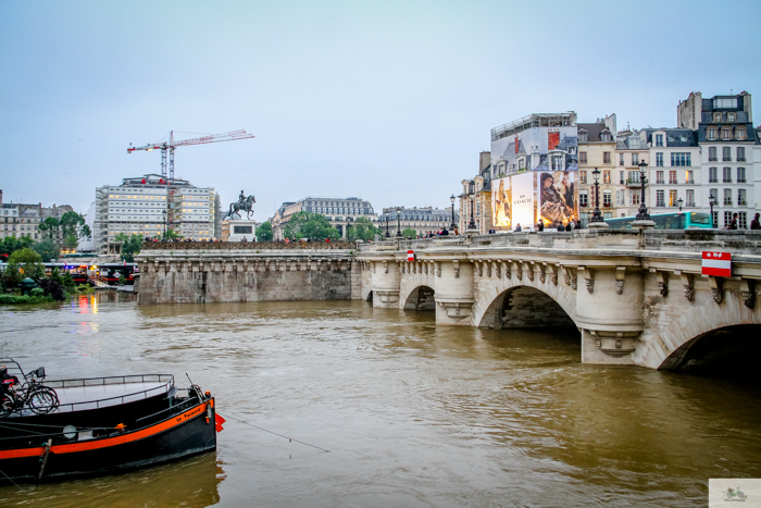 flood, Paris, Seine, Paris flood 2016, grue 2016 Paris, Julia Willard, Julie Willard, Falling Off Bicycles