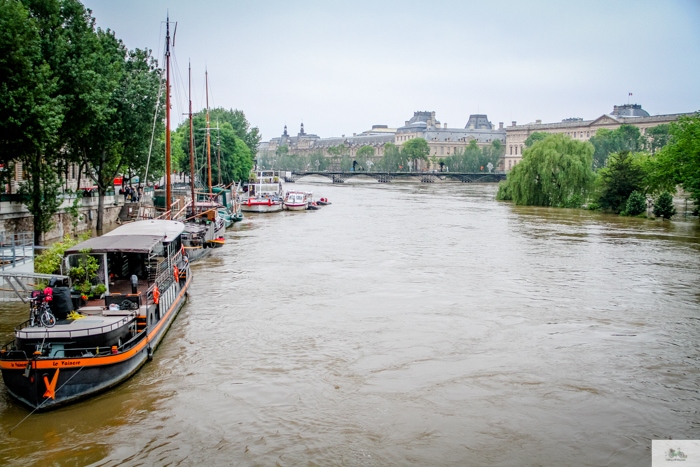 flood, Paris, Seine, Paris flood 2016, grue 2016 Paris, Julia Willard, Julie Willard, Falling Off Bicycles