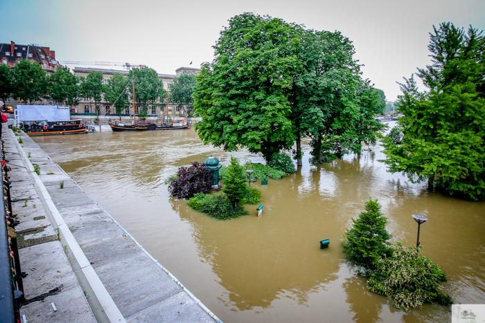 flood, Paris, Seine, Paris flood 2016, grue 2016 Paris, Julia Willard, Julie Willard, Falling Off Bicycles