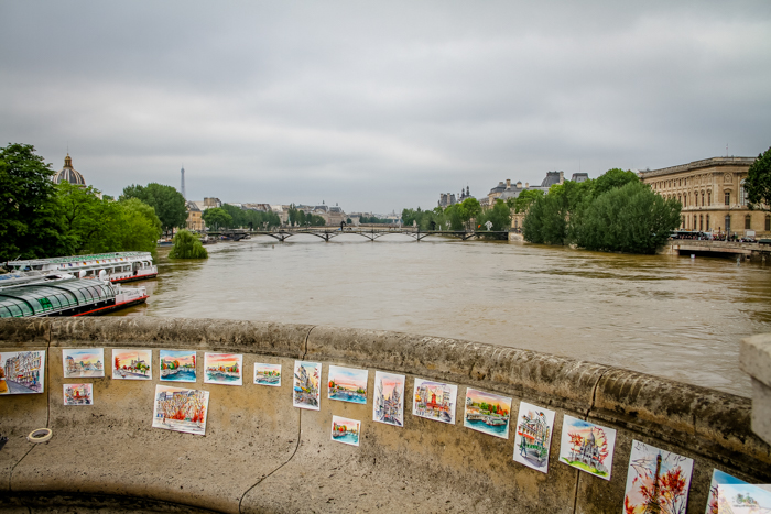 flood, Paris, Seine, Paris flood 2016, grue 2016 Paris, Julia Willard, Julie Willard, Falling Off Bicycles