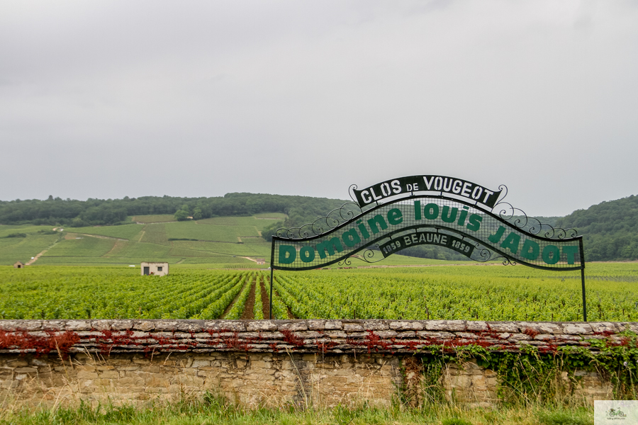 Louis Jadot wine, Julia Willard, Julie Willard, Falling Off Bicycles, France blog, Bourgogne, Burgundy wine, French wine tour