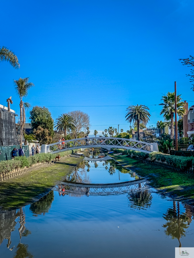 Julia Willard, Julie Willard, Falling Off Bicycles, Venice Canals, Los Angeles, Venice boat, California life