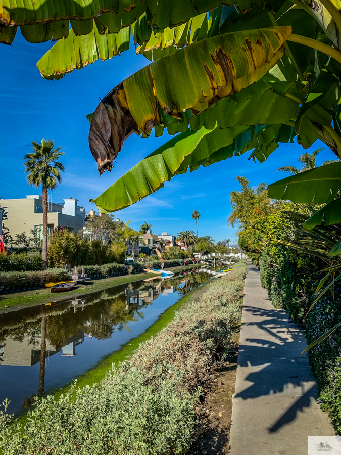 Julia Willard, Julie Willard, Falling Off Bicycles, Venice Canals, Los Angeles, Venice boat, California life