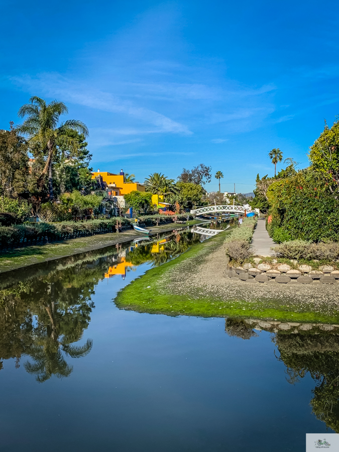 Julia Willard, Julie Willard, Falling Off Bicycles, Venice Canals, Los Angeles, Venice boat, California life