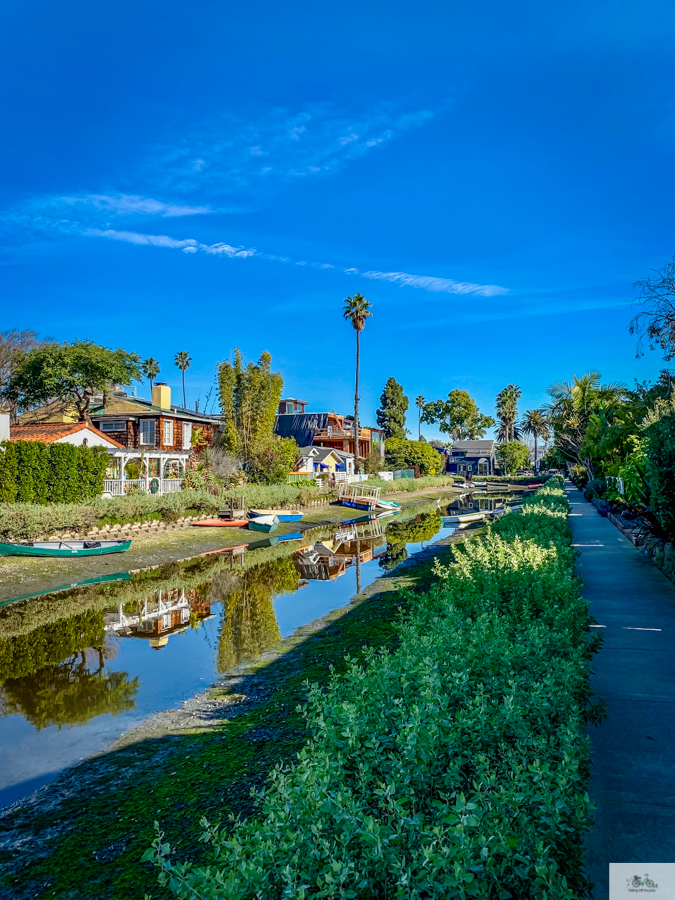 Julia Willard, Julie Willard, Falling Off Bicycles, Venice Canals, Los Angeles, Venice boat, California life