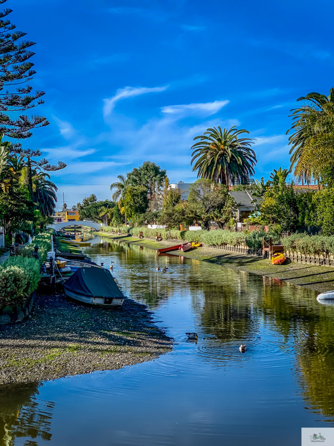 Julia Willard, Julie Willard, Falling Off Bicycles, Venice Canals, Los Angeles, Venice boat, California life