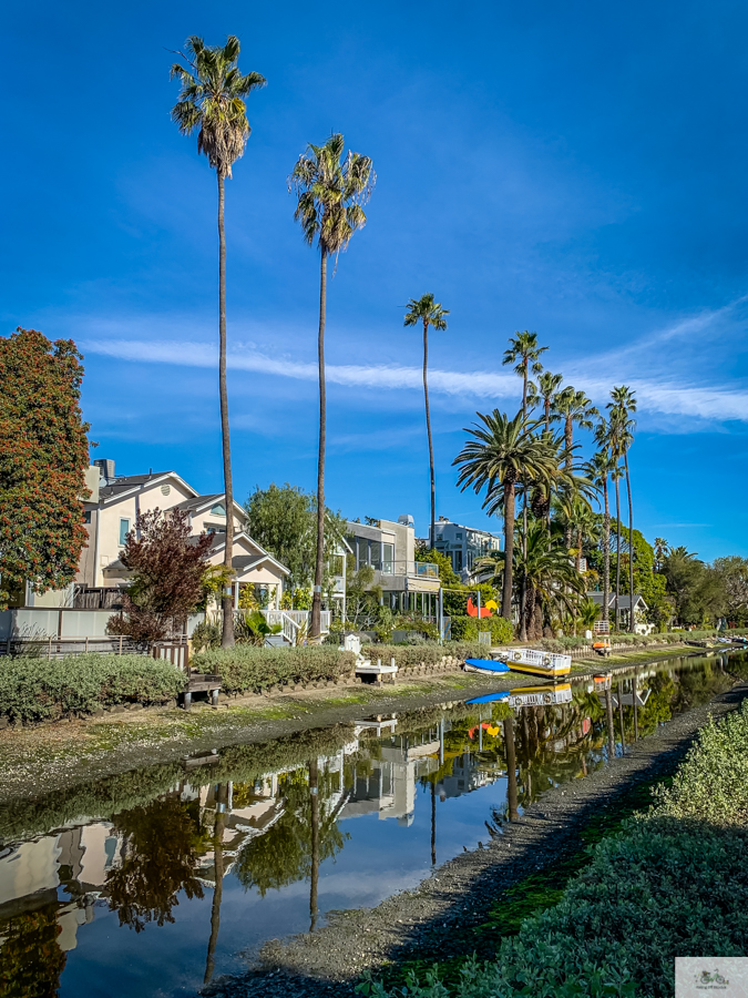 Julia Willard, Julie Willard, Falling Off Bicycles, Venice Canals, Los Angeles, Venice boat, California life