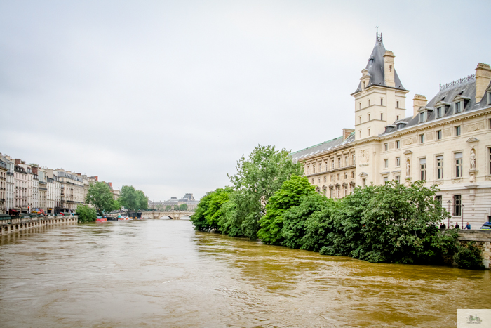 Falling Off Bicycles, Julia Willard, Julie Willard, Seine, Paris flood 2016, grue, Paris grue