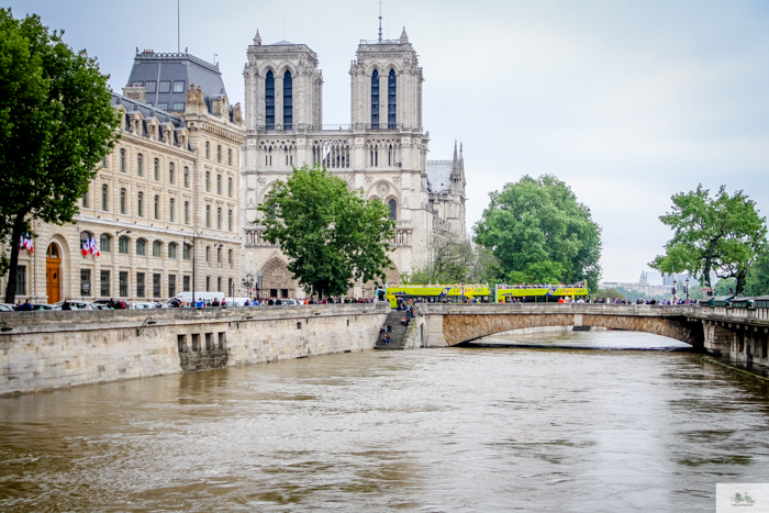 Falling Off Bicycles, Julia Willard, Julie Willard, Seine, Paris flood 2016, grue, Paris grue