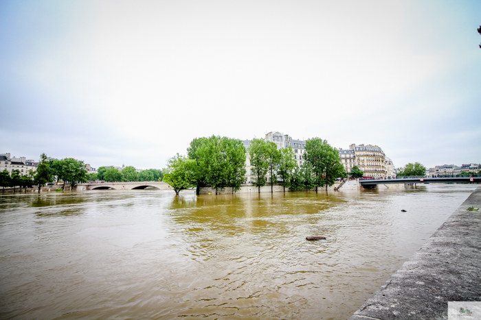 Falling Off Bicycles, Julia Willard, Julie Willard, Seine, Paris flood 2016, grue, Paris grue