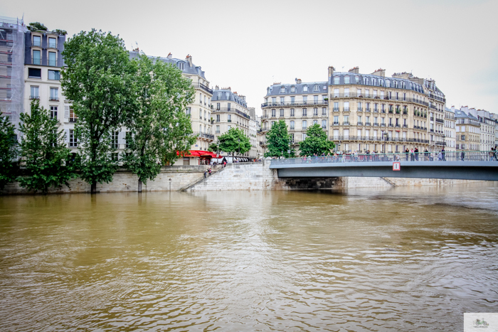 Falling Off Bicycles, Julia Willard, Julie Willard, Seine, Paris flood 2016, grue, Paris grue