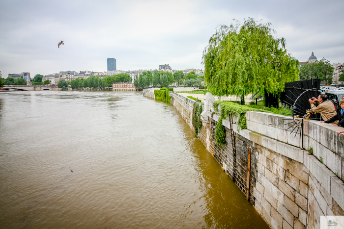 Falling Off Bicycles, Julia Willard, Julie Willard, Seine, Paris flood 2016, grue, Paris grue