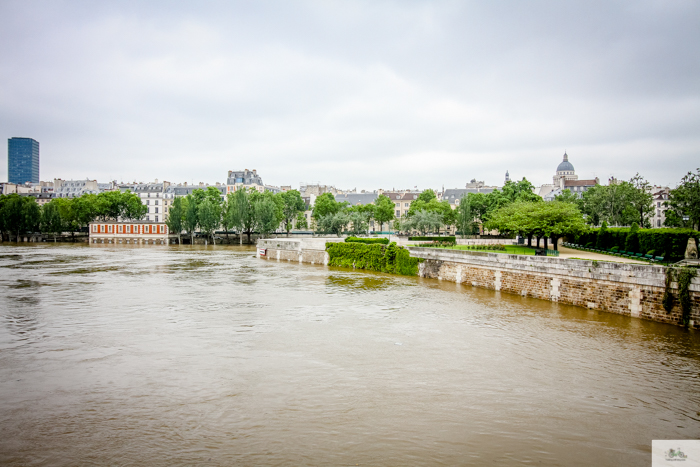 Falling Off Bicycles, Julia Willard, Julie Willard, Seine, Paris flood 2016, grue, Paris grue