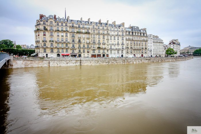 Falling Off Bicycles, Julia Willard, Julie Willard, Seine, Paris flood 2016, grue, Paris grue