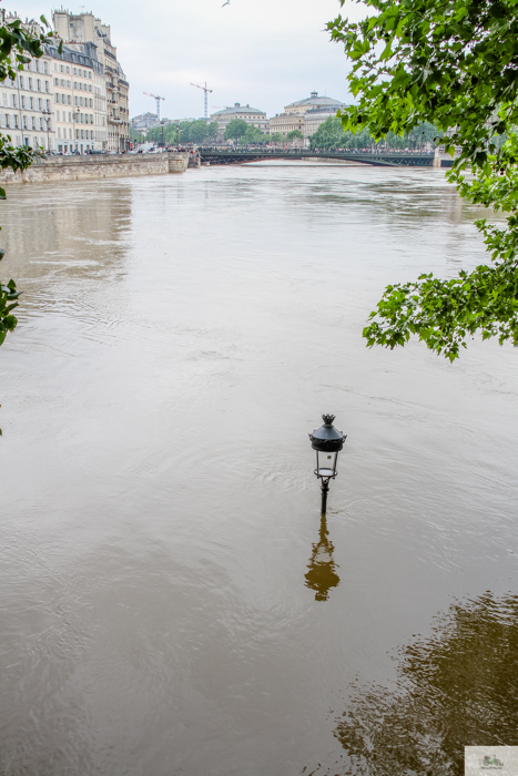 Falling Off Bicycles, Julia Willard, Julie Willard, Seine, Paris flood 2016, grue, Paris grue