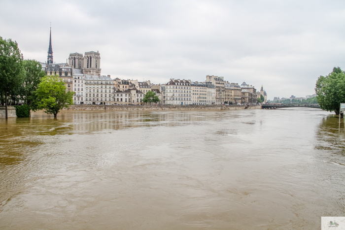 Falling Off Bicycles, Julia Willard, Julie Willard, Seine, Paris flood 2016, grue, Paris grue