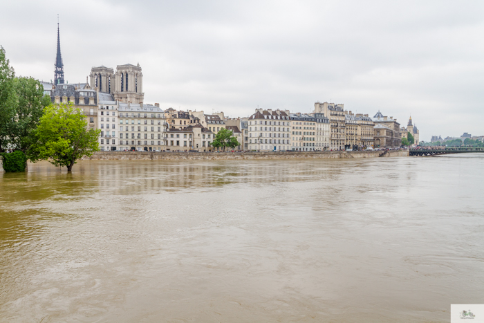 Falling Off Bicycles, Julia Willard, Julie Willard, Seine, Paris flood 2016, grue, Paris grue