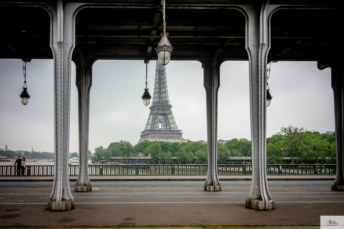 Falling Off Bicycles, Julia Willard, Julie Willard, Seine, Paris flood 2016, grue, Paris grue