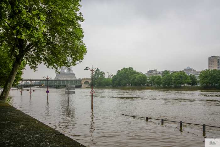 Falling Off Bicycles, Julia Willard, Julie Willard, Seine, Paris flood 2016, grue, Paris grue