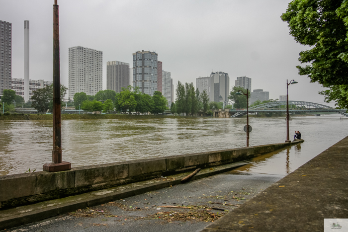 Falling Off Bicycles, Julia Willard, Julie Willard, Seine, Paris flood 2016, grue, Paris grue