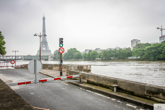 Falling Off Bicycles, Julia Willard, Julie Willard, Seine, Paris flood 2016, grue, Paris grue