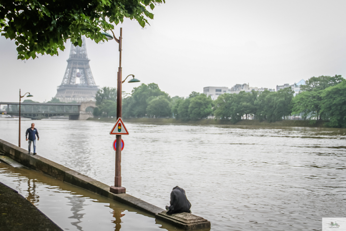 Falling Off Bicycles, Julia Willard, Julie Willard, Seine, Paris flood 2016, grue, Paris grue