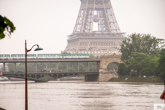 Falling Off Bicycles, Julia Willard, Julie Willard, Seine, Paris flood 2016, grue, Paris grue