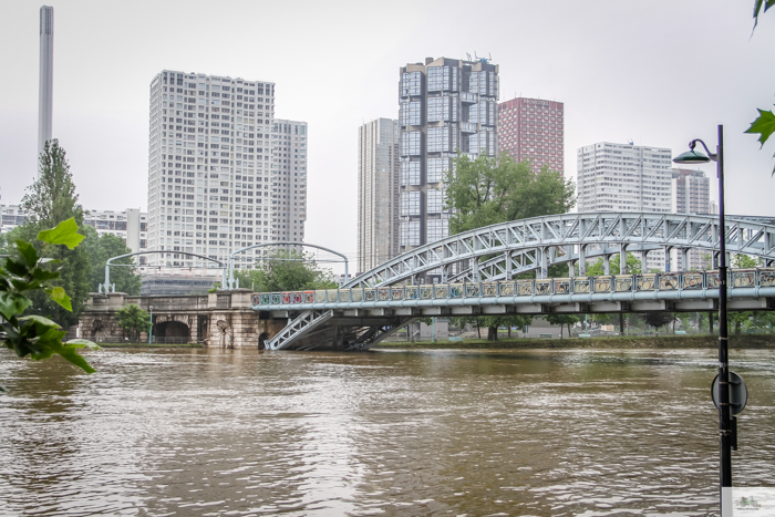 Falling Off Bicycles, Julia Willard, Julie Willard, Seine, Paris flood 2016, grue, Paris grue