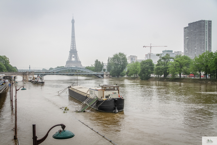 Falling Off Bicycles, Julia Willard, Julie Willard, Seine, Paris flood 2016, grue, Paris grue