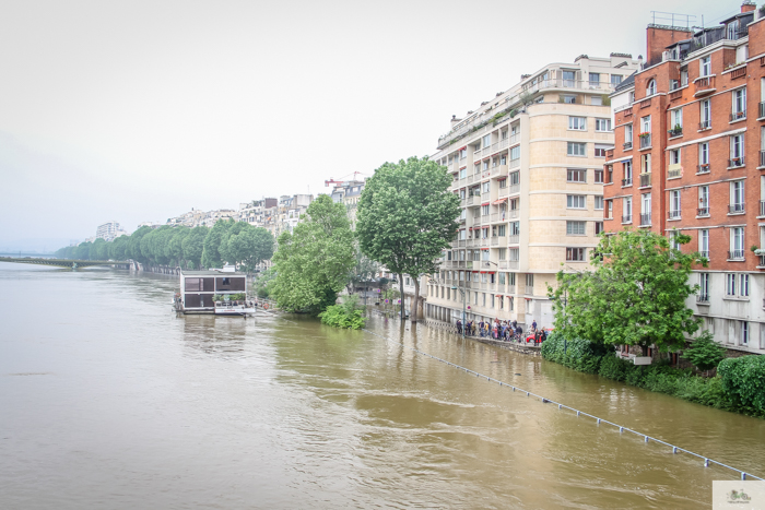 Falling Off Bicycles, Julia Willard, Julie Willard, Seine, Paris flood 2016, grue, Paris grue