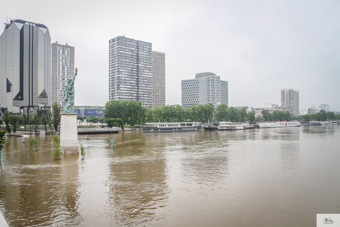 Falling Off Bicycles, Julia Willard, Julie Willard, Seine, Paris flood 2016, grue, Paris grue