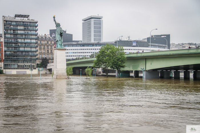 Falling Off Bicycles, Julia Willard, Julie Willard, Seine, Paris flood 2016, grue, Paris grue