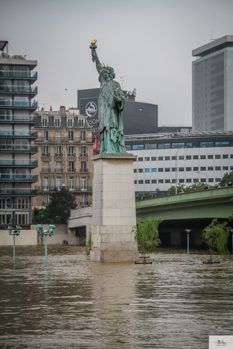 Falling Off Bicycles, Julia Willard, Julie Willard, Seine, Paris flood 2016, grue, Paris grue