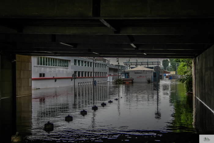 Falling Off Bicycles, Julia Willard, Julie Willard, Seine, Paris flood 2016, grue, Paris grue