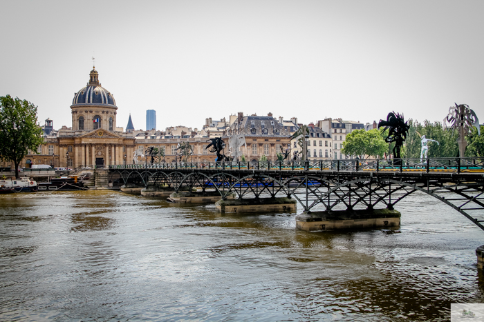 Falling Off Bicycles, Julia Willard, Julie Willard, Seine, Paris flood 2016, grue, Paris grue