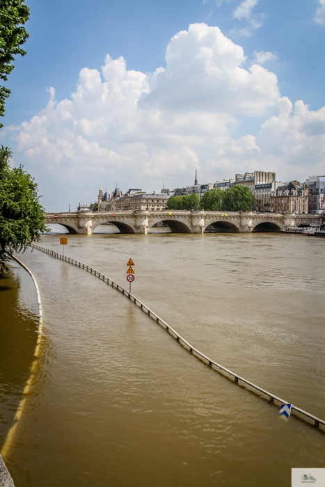 Falling Off Bicycles, Julia Willard, Julie Willard, Seine, Paris flood 2016, grue, Paris grue