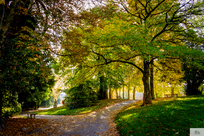 Autumn day in a park in Dijon