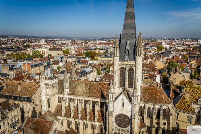 Julia Willard, Julie Willard, Falling Off Bicycles, Dijon, Beaune, wine tour Burgundy, Hospices de Beaune, Tour Philip le Bon