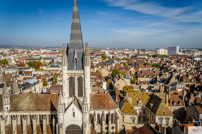 Julia Willard, Julie Willard, Falling Off Bicycles, Dijon, Beaune, wine tour Burgundy, Hospices de Beaune, Tour Philip le Bon