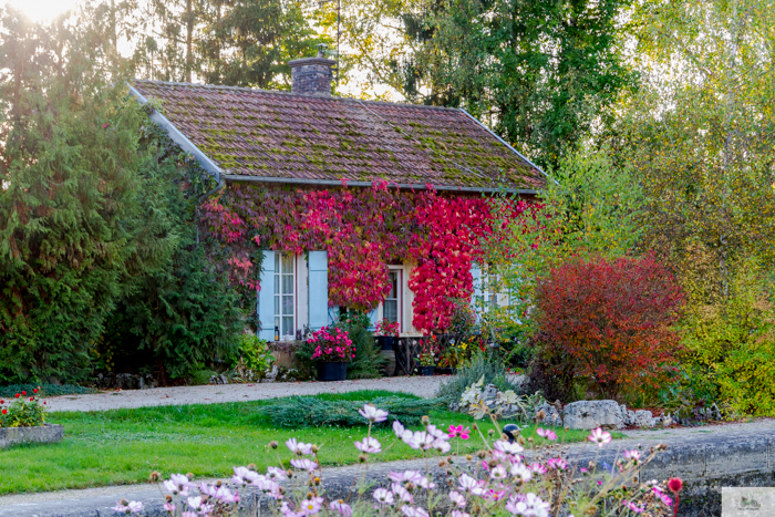 Julia Willard, Beaune tourism, wine tour Beaune, fall colors Bourgogne, where to go in France in Fall