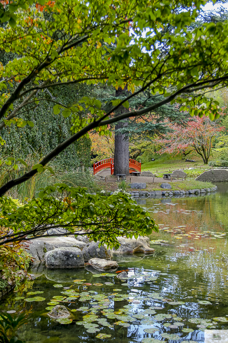 Albert Kahn Garden with flourishing green trees and a hint of a red bridge in the distance